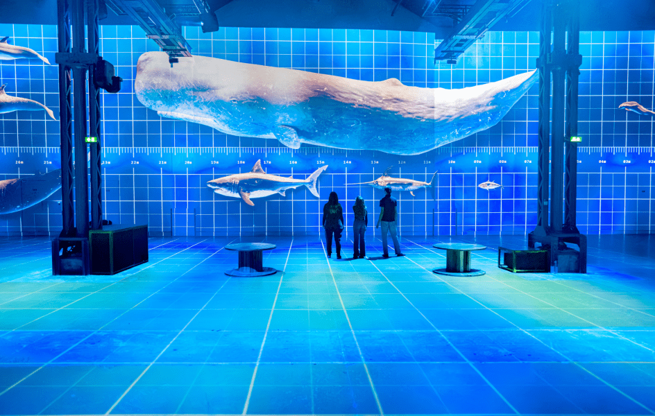 Gallery Planète Océan