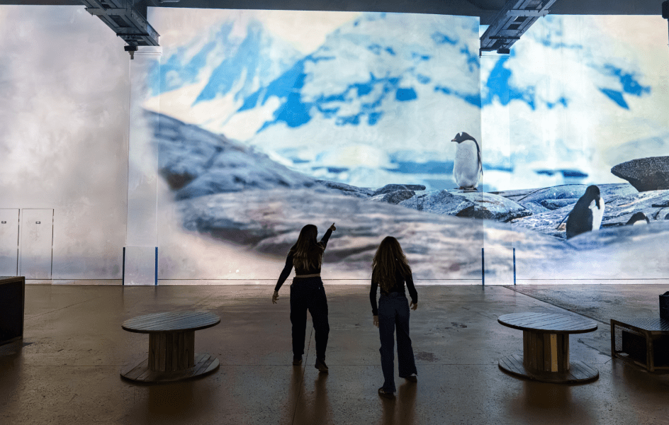 Gallery Planète Océan