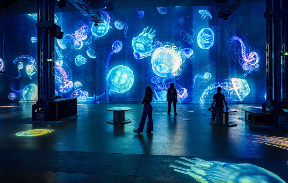 Gallery Planète Océan