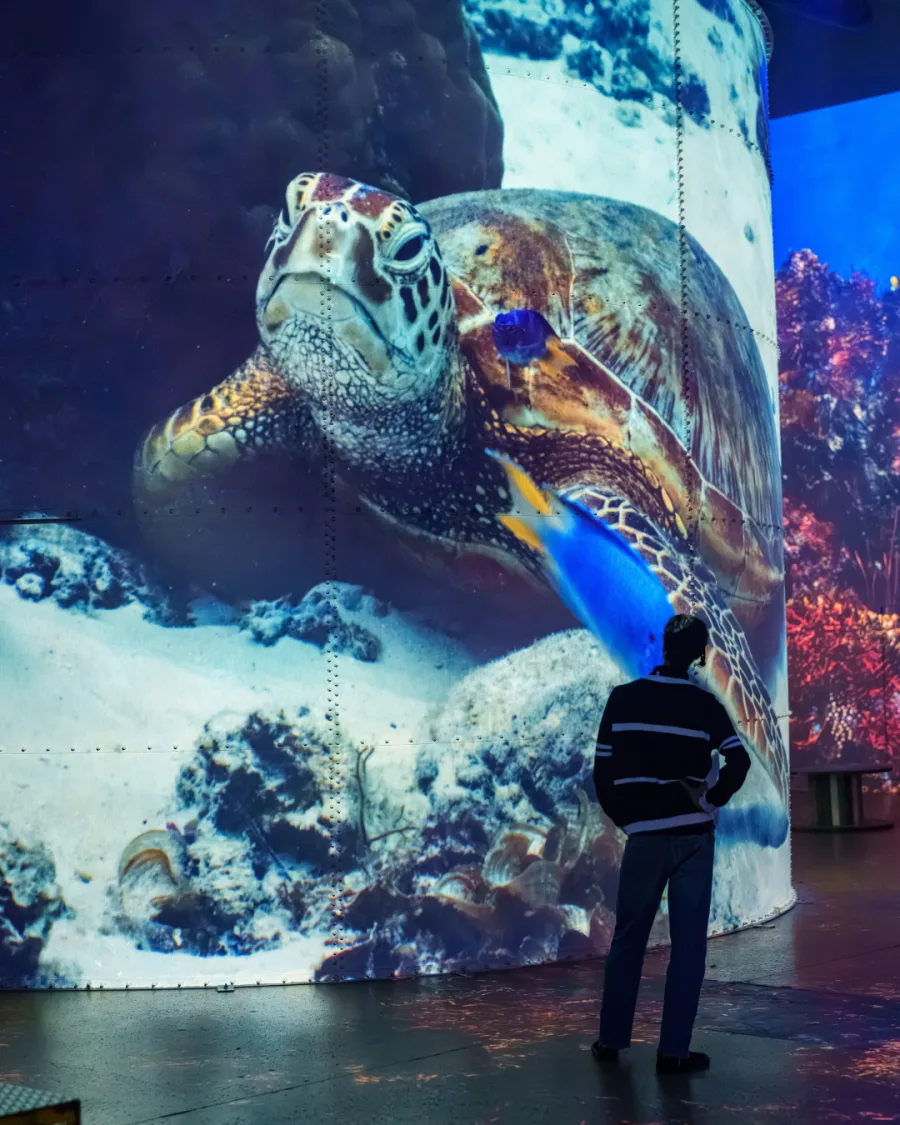 Experience Planète Océan