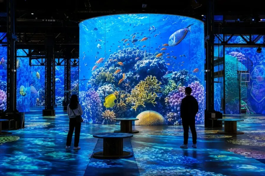 Experience Odyssee